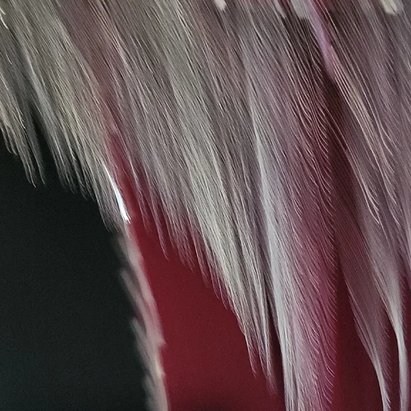 Strapless Johnathan Kayne Black and Burgundy Velvet Mini Dress with Metal Fringe - Picture 7 of 9